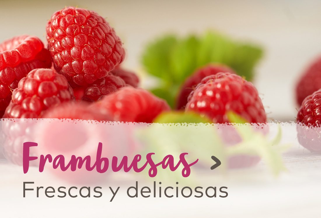 Frambuesas - Frescas y deliciosas