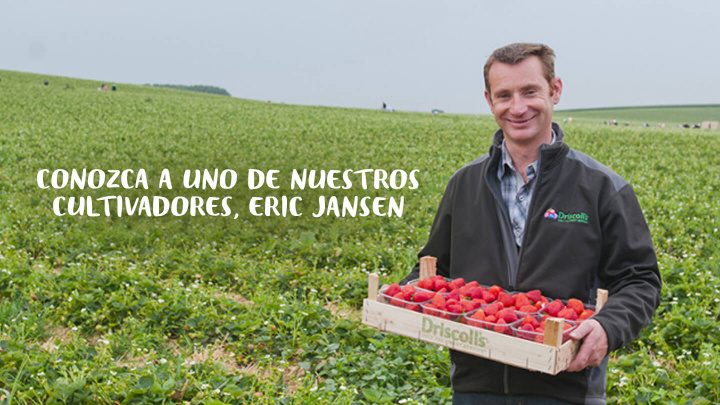 Driscolls Eric Jansen cultivador